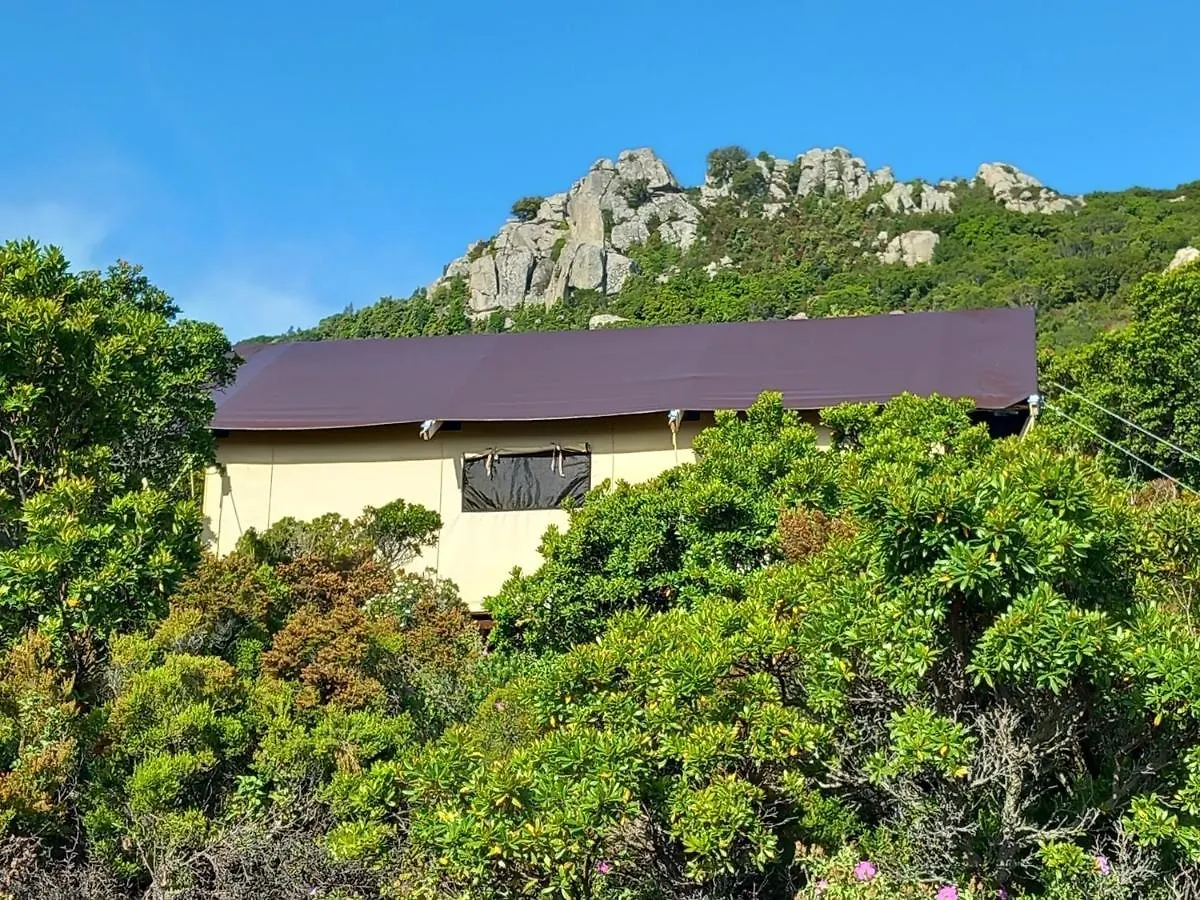 Glamping Tent Nel Supramonte Urzulei 0*,